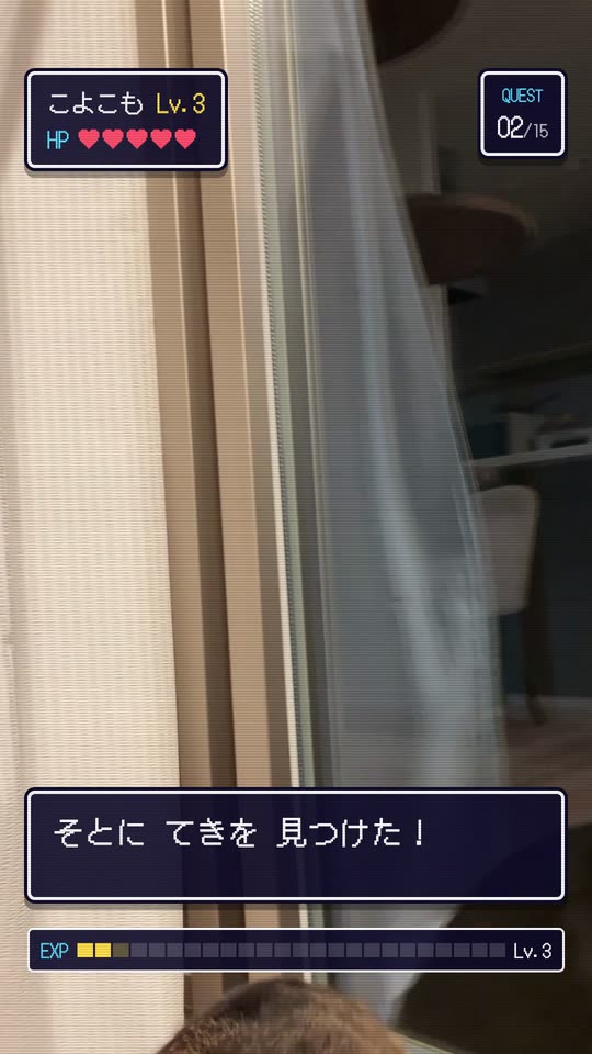 レトロなゲーム風の画面と、猫の写真